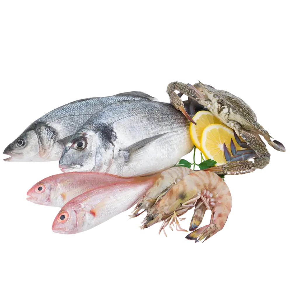  Ձուկ և ծովամթերք