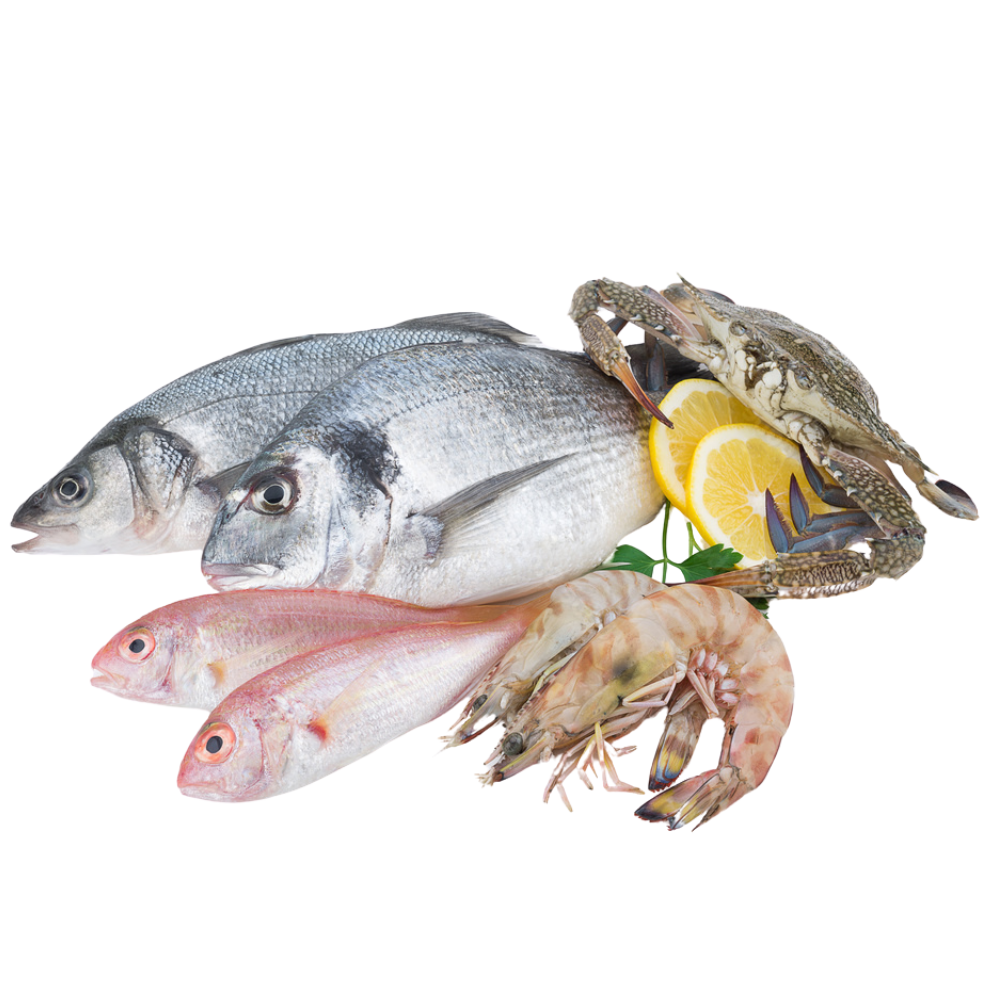  Fish and seafood